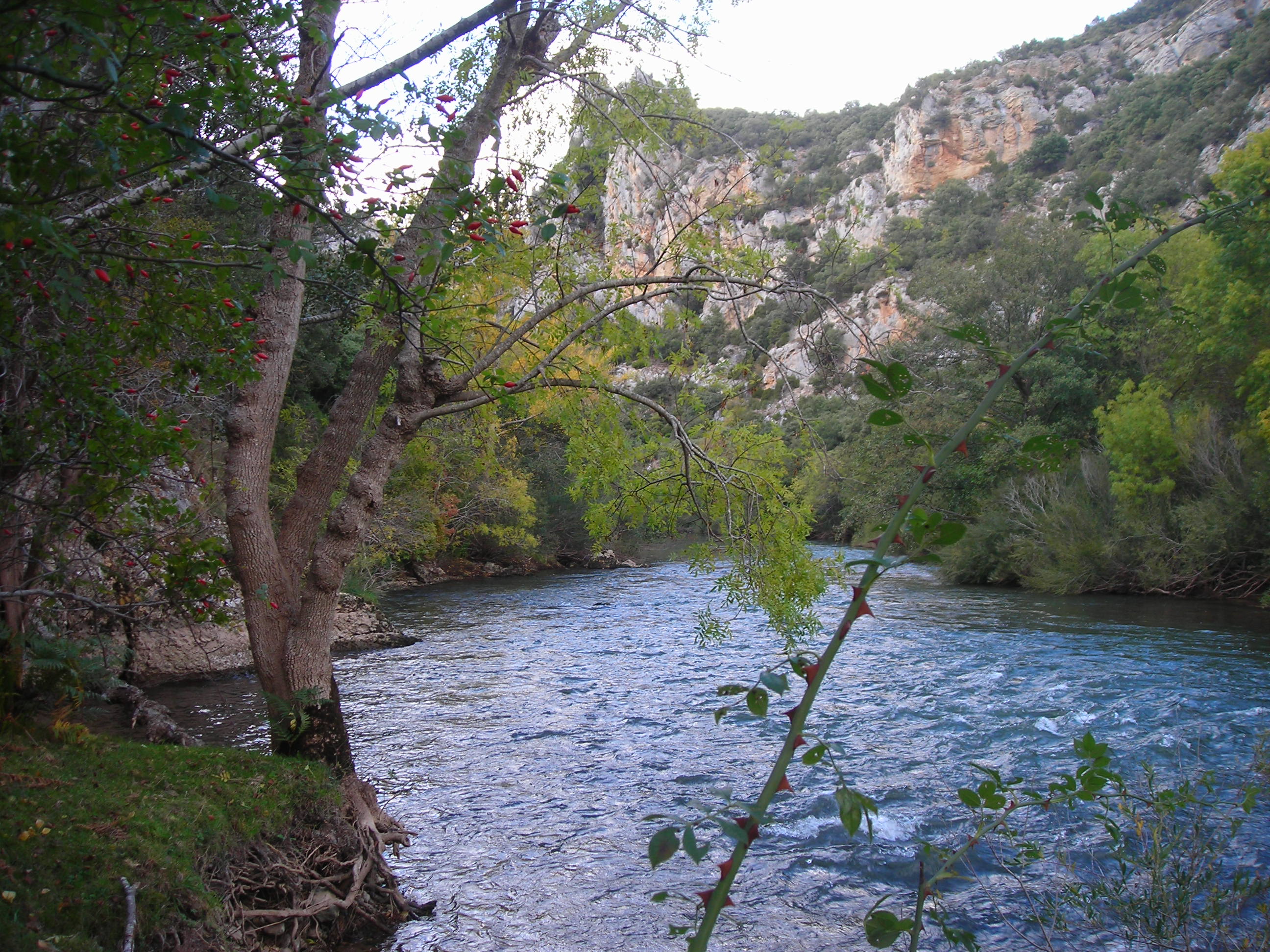 Hacia el valle de Manzanedo